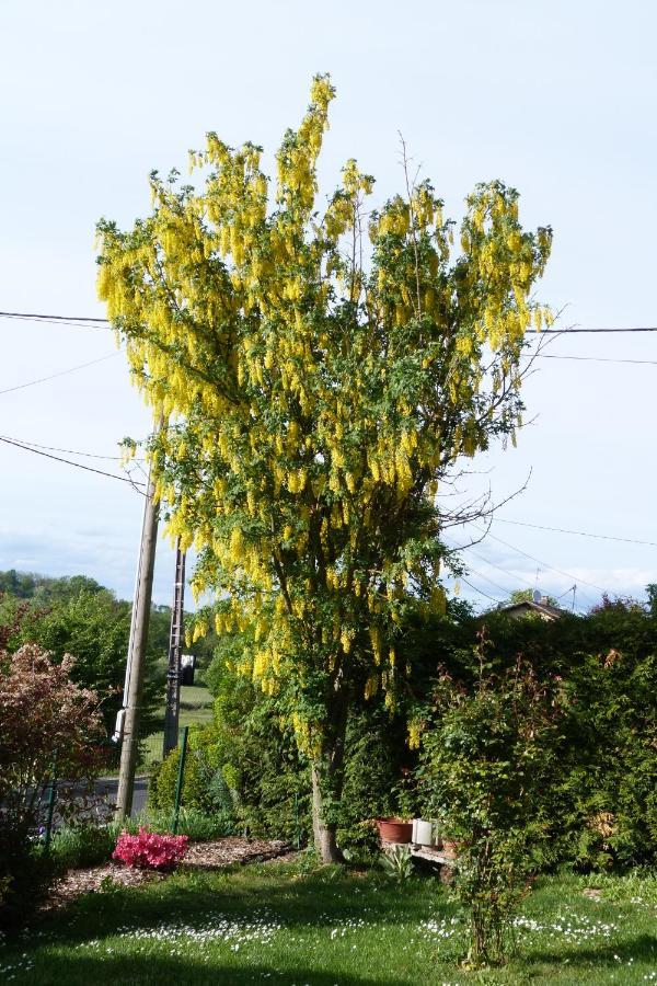 Gite D'Maisala Les Mesanges Heidwiller Exteriér fotografie