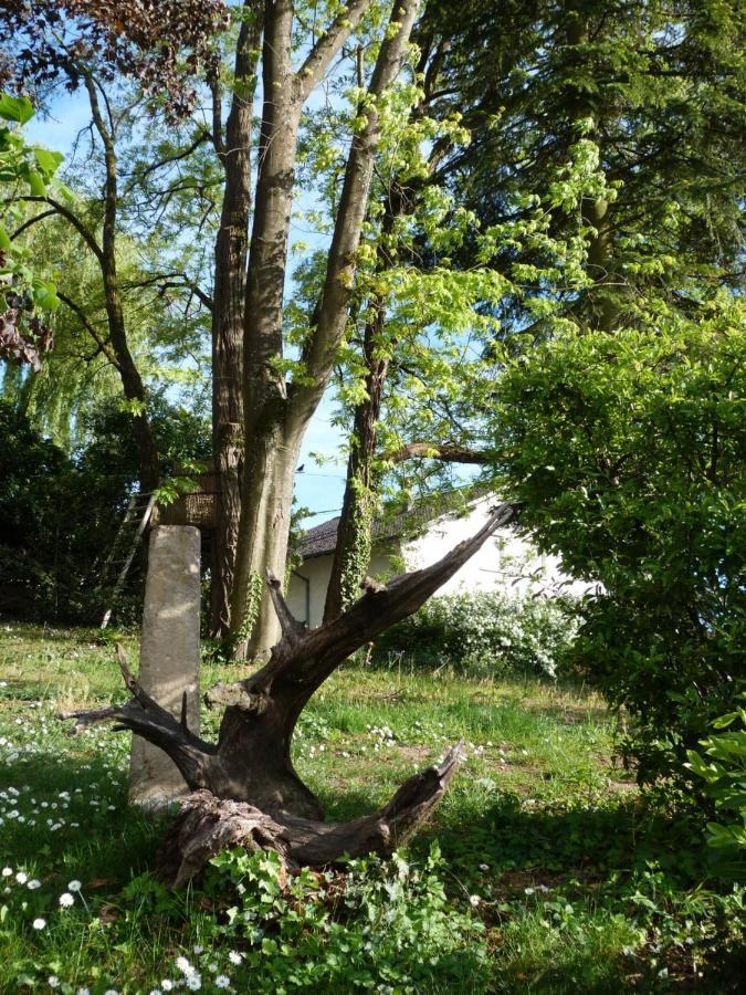 Gite D'Maisala Les Mesanges Heidwiller Exteriér fotografie